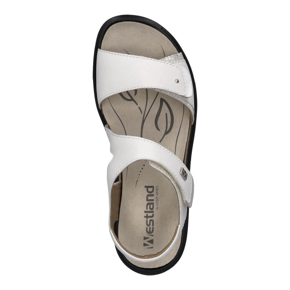 Velcro